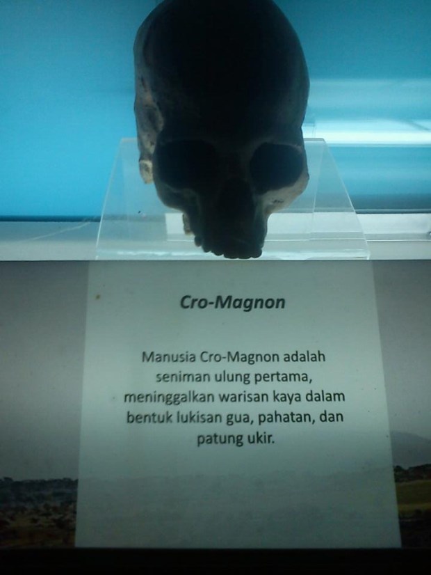 Fosil Tengkorak Cro-Magnon