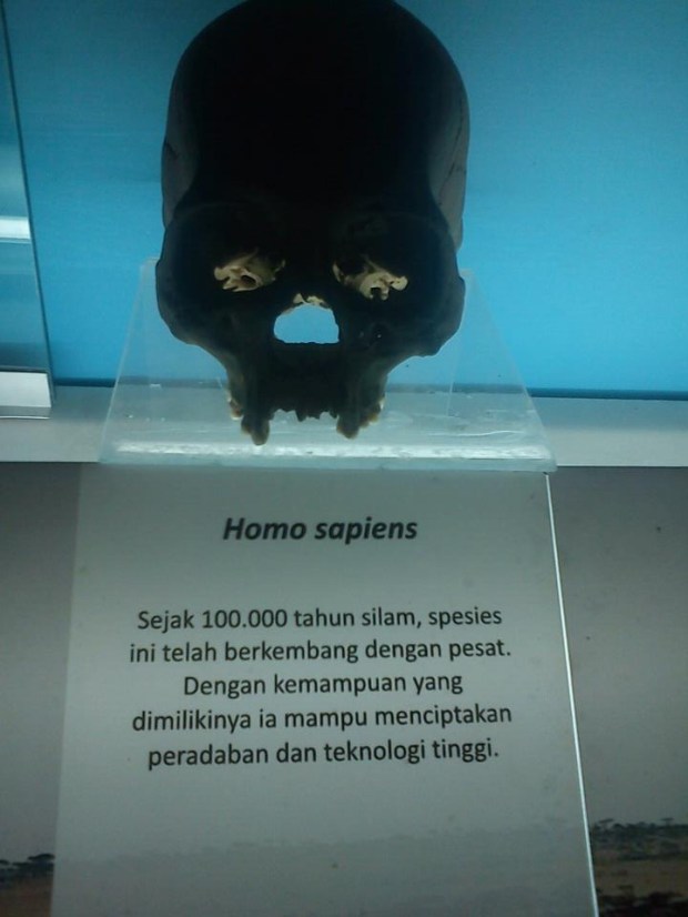 Fosil Tengkoran Homo sapiens